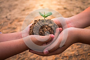 Children planting forests to reduce global warming.