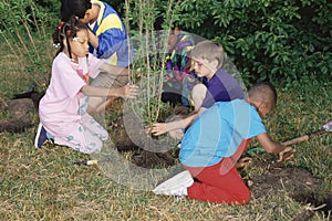 Children planting trees
