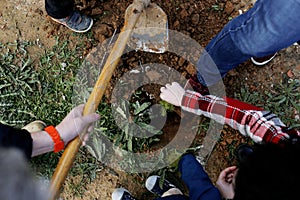 Children planting trees in the forest and growing plants cooperating with each other