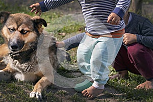 Children play with angry street dog.