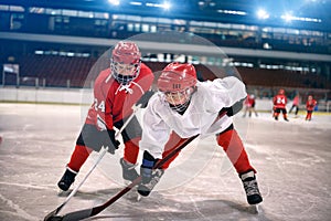 Children play ice hockey