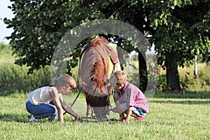 Children play with pony horse