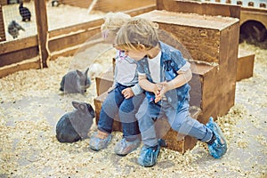 Children play with the rabbits in the petting zoo