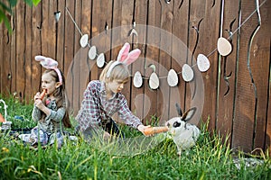 Children play with real rabbit. Laughing child at Easter egg hunt with white pet bunny. Little toddler girl playing with animal in