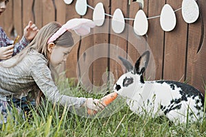 Children play with real rabbit. Laughing child at Easter egg hunt with white pet bunny. Little toddler girl playing with animal in