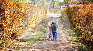 Children playing with autumn fallen leaves in park