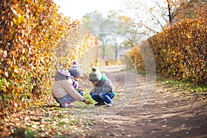 Children playing with autumn fallen leaves in park