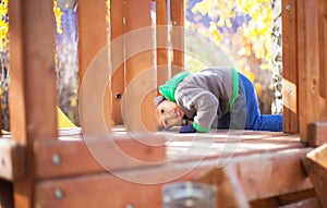 Children playing with autumn fallen leaves in park