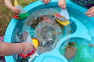 Children Playing with Boats and Sea Creature/Ocean Life Toys in a Water Table