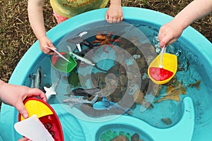 Children Playing with Boats and Sea Creature/Ocean Life Toys in a Water Table