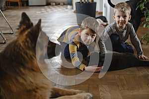 Children playing with cat and dog. Taking care of pet