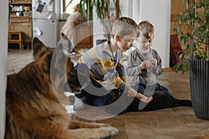 Children playing with cat and dog. Taking care of pet