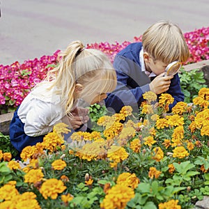 Children playing in the city park looking at flowers with a magnifying glass