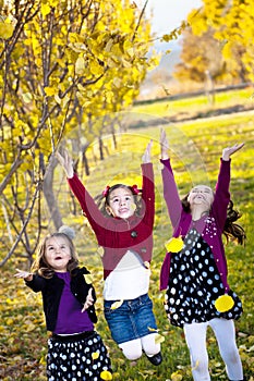 Children playing in the fall leaves