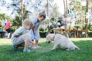 Children playing with a small puppy at a family garden party. Portrait of little boy and girl on grass with Golden