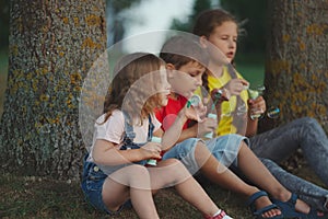 Children playing with soap bubbles in park