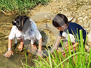 Children playing in stream