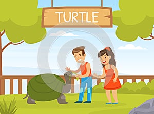 Children Playing with Turtle on Green Lawn, Boy and Girl Interacting with Animal in Petting Zoo Cartoon Vector