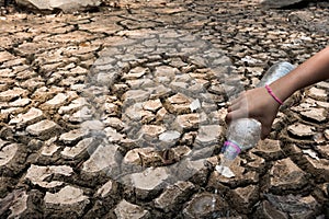 Children pour water on the arid ground.