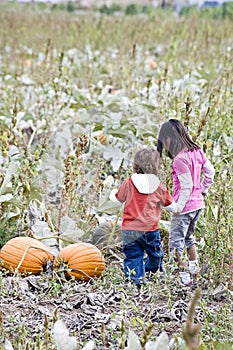 Children in a Pumpkin patch