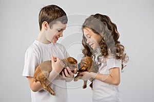 Children with puppys isolated on white background. Kid Pet Friendship