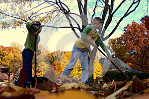 Children Rake Leaves in the Fall