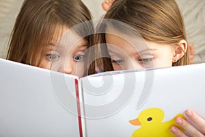 Children reading a story