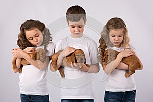 Children with red puppies isolated on white background. Kid Pet Friendship