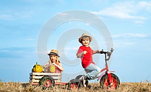 Children riding bikes - kids ready for work on farm. Childhood on countryside. Summer at countryside. Eco life. Carefree