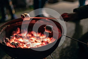 Children roasting marshmallows on skewers