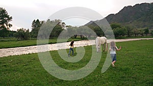 Children run across the field. two little girls running through a meadow where grazing horse. sisters having fun