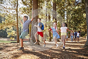 Children Running Ahead Of Parents On Family Hiking Adventure photo