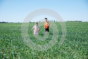 Children running in field on green grass at summer, happy smiling two kids - brother and sister happy