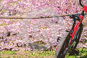 Children\'s bicycle against the backdrop of a spring blooming garden