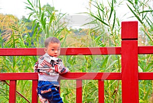 Children's dangerous climb