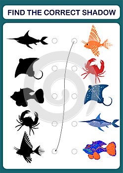 A children`s educational game called `find the right shadow` with the inhabitants of the sea.
