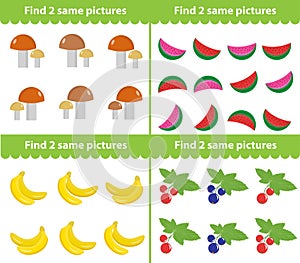 Children s educational game. Find two same pictures. Vector illustration