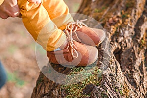 Children`s feet in brown shoes on a tree background