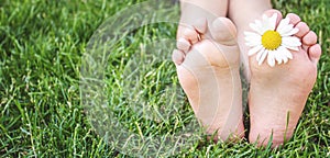 Children`s feet with chamomile on green grass. Selective focus