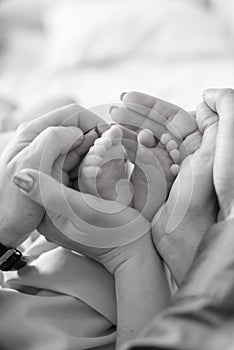 Children`s feet in hands of mother and father. Mother, father and Child. Happy Family concept