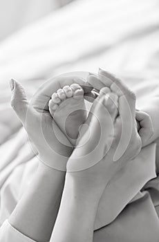 Children`s feet in hands of mother and father. Mother, father and Child. Happy Family concept