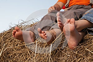 Children`s feet in the hay
