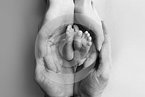 Children& x27;s feet in hold hands of mother and father on white, newborn