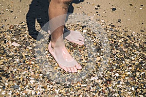Children`s feet walking on the stones along the beach photo