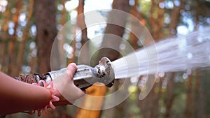 Children`s Female Hands Hold Fire Hose from Which Water Runs in Pine Forest