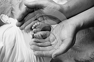 Children& x27;s foot in the hands of mother, father, parents. Feet of a tiny newborn close up. Little baby legs.