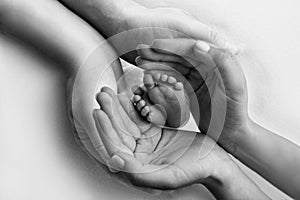 Children& x27;s foot in the hands of mother, father, parents. Feet of a tiny newborn close up. Little baby legs.