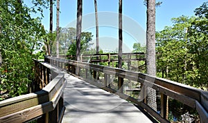 Children\'s Garden at Cape Fear Botanical Garden, Fayetteville, North Carolina