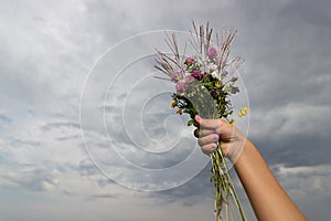 Children's hand holds a bouquet of wiled flowers on background of cloudy sky in summer