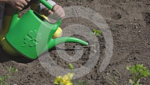 children's hands hold green plastic watering can carefully water planted plant